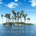DiGevo - Best of Tropical House 2015