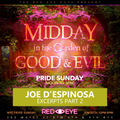 Part 2 of 2: Midday in the Garden of Good & Evil . Pride 2023 . RedEye . New York . Joe D'Espinosa