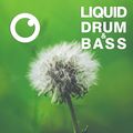 Liquid Drum and Bass Sessions #41 [March 2021]