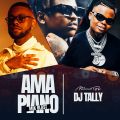 Amapiano Mix Blast - DJ Tally