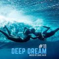 Dave Haze - Deep Dream #11