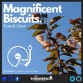 Magnificent Biscuits - Beautiful World Sounds - Radio Show 26.04.22