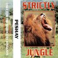 Peshay - Strictly Jungle @ Euphoria 111195 (Side 2)