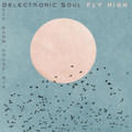 Delectronic Soul - Fly High - Deep House Mix - Warm, Soulful, Afro, Broken & Melodic House Tones