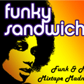 Funk & Nu Disco Grooves Vol. 1 (DL Link in Info)