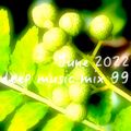 June 2022 deep music mix 99