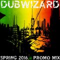 DuBWiZaRd - Riddim Bandits Dub Reggae Dancehall Spring 2016 Promo Mix
