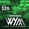 Cosmic Gate - WAKE YOUR MIND Radio Episode 325