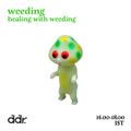Weeding - Healing w/ Weeding 13/06/21