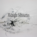 Midnight Silhouettes 2-21-20