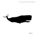 Icarus Mixtape #44: Baleines