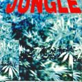 Jumping Jack Frost ‎– Mixmag Live Volume 15 - Jungle - 1994