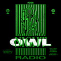 Night Owl Radio 205 ft. Sonny Fodera and Boogie T