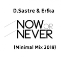 D.Sastre & Er!ka - Now Or Never (Minimal Mix 2019)