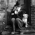 The Musical Genius of Charles Chaplin
