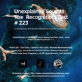 Unexplained Sounds - The Recognition Test # 223