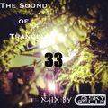 The Sound of Trance 33