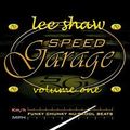Speed Garage - Nu Skool Funky Chunky Beats - Lee Shaw