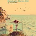 Standing On The Sea Wall (A Million Lazy Beats/Is It Balearic?)