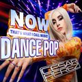 Now That's What I Call Music - Dance Pop