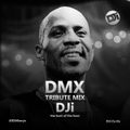 DMX Tribute Mix [@DJiKenya]