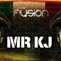 Mr KJ Soulfusion Tempo Summer Party guest mix.