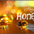 House Of Honey (Vol 1)