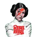 Leia and the Hip Hop Rebels: Volume II by DJ Cali