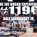 #1196 - Dale Earnhardt Jr.