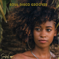 Soul Disco Grooves Vol. 02