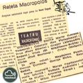 Va ofer: ”Reţeta Makropoulos” (1965) de Karel Čapek, în regia lui Gh. Harag