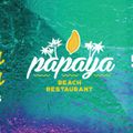 Welcome to the Beach Papaya Beach Ibiza