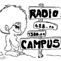 DROOGIES RADIO @ Radio Campus Lille [29/10/2020] émission 