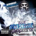 DJ Spinbad Presents - The Snoop Dizzle Mixtizzle (2011) (Repost due to Ban)