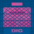 DIG – Issue 8