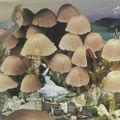 Mushroom Music - Francesca Gavin & Dan Breuer - 11 March 2020