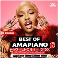 Amapiano Overdose Mix Vol 6 [Tshwala Bam, Mnike, Dubula, Funk 55, Ka Valungu]