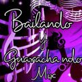 Bailando & Guarachando Mix