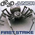 Deep Junior 1