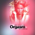 Dj Arsonist - The Orgasm Vol 1 - 2010