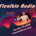 Flexible Audio 100