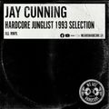 All Vinyl 1993 Hardcore Junglist Selection