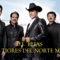 DJ ELIAS - Los Tigres Del Norte Mix