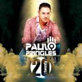 DJ Paulo Pringles Twenty Tour Set
