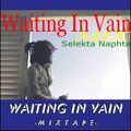 Waiting In VainMIX Selekta Naphta