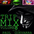 TRIPMIX VOL.8 MIXED BY PAUL GUEVARRA
