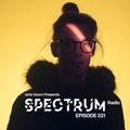 Joris Voorn Presents: Spectrum Radio 021