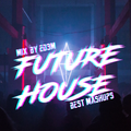 FUTURE HOUSE - BEST MASHUPS - MIX BY ED3M