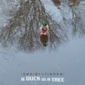 A Duck in a Tree - 5 December 2020 (Unwatching the Territory)