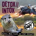 DETOX // INTOX #030: Was tust DU für Otter? (feat. Stefan / Kapot)